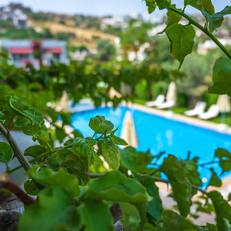 Hotel Rustica
