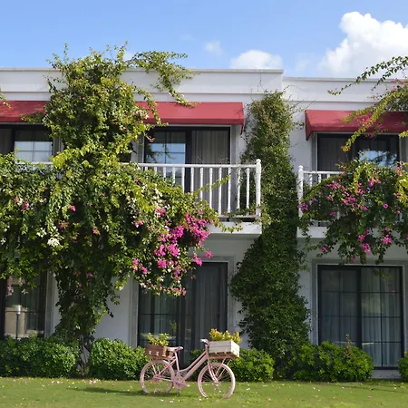 Rustica Гюндоган