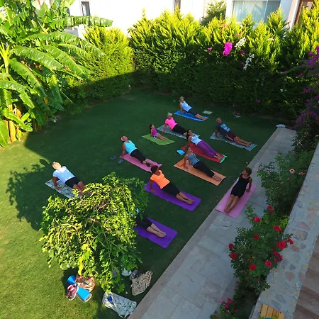 酒店 黄花酒店 京多安