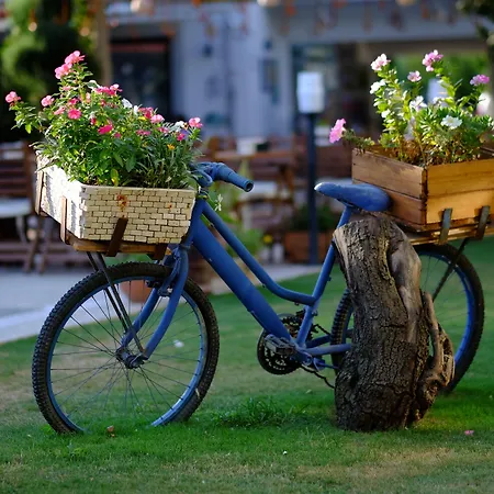 Rustica Гюндоган