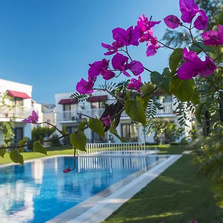 Hotel Rustica 2*