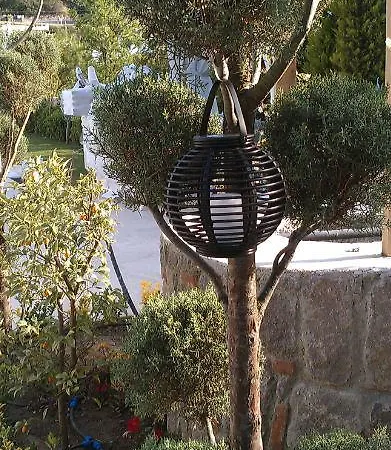 Ξενοδοχείο Rustica 2*
