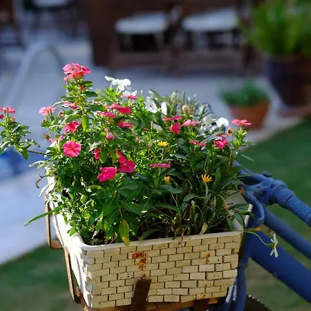黄花酒店 京多安