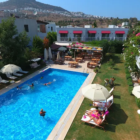 Rustica Hotel 2*