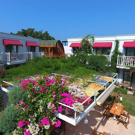 Hotel Rustica Gundogan (Bodrum)