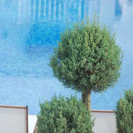 Rustica Hotel Gundogan (Bodrum)