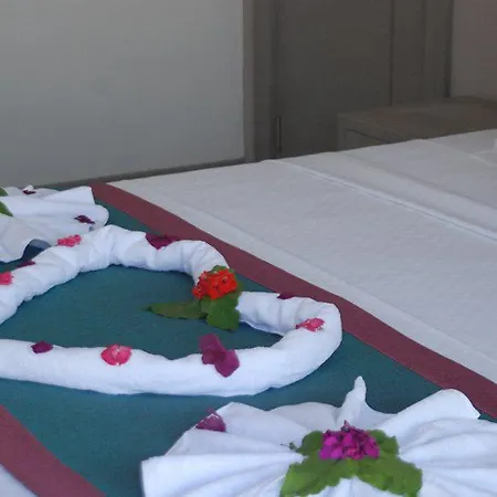Otel Rustica 2*